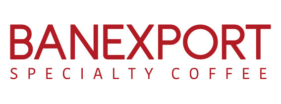 Banexport Logo